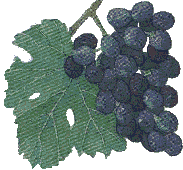black-grapes